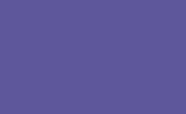 Hintergrundkarton 2.72x11m (Purple)