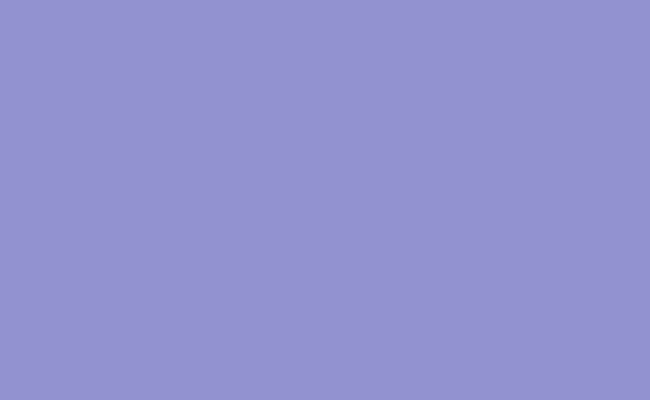 Hintergrundkarton 2,75x11m (Violet)