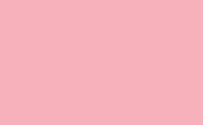 Hintergrundkarton 2,75x11m (Pastel Pink)