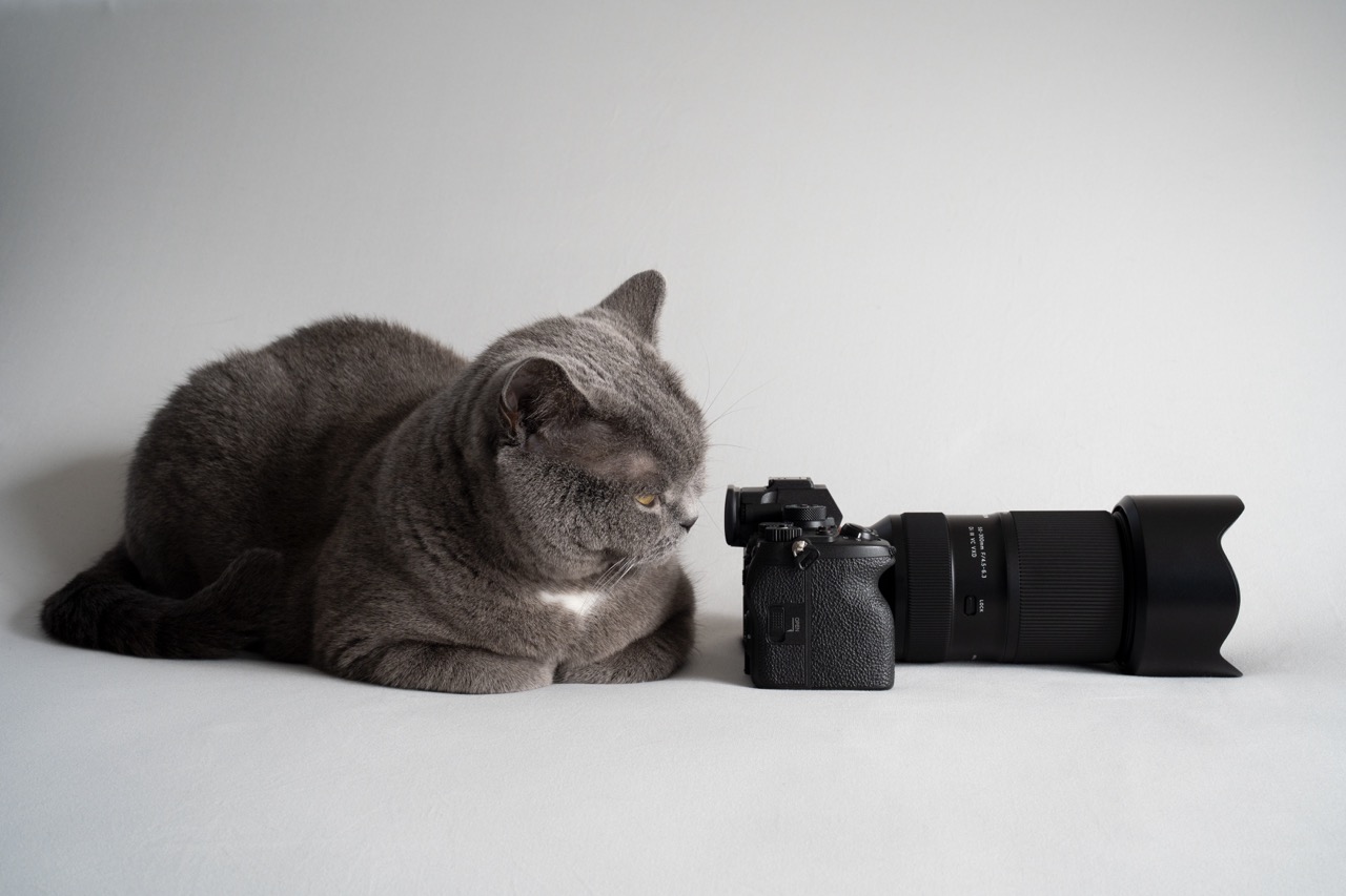 Tamron 50-300mm F4.5-6.3 Di III VC VXD Telezoomobjektiv, Lifestyle Bild mit Katze 